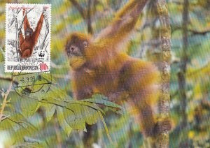 Indonesia 1989 Maxicard Sc #1381 100r Orangutans WWF
