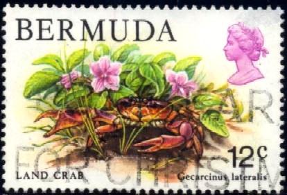 Marine Life, Land Crab, Bermuda stamp SC#369 used