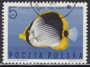 Poland 1492 Striped Butterfly Fish 1967