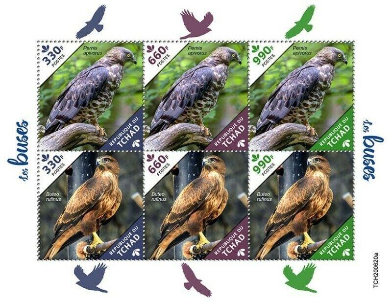 Chad - 2020 Buzzards, European Honey - 6 Stamp Sheet - TCH200620a 
