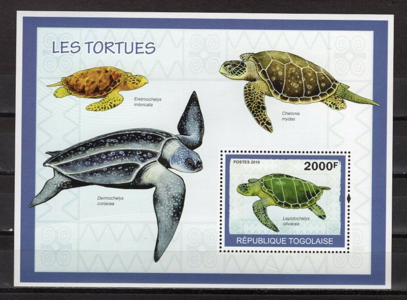 TOGO - 2010 Fauna - Turtles  M2716