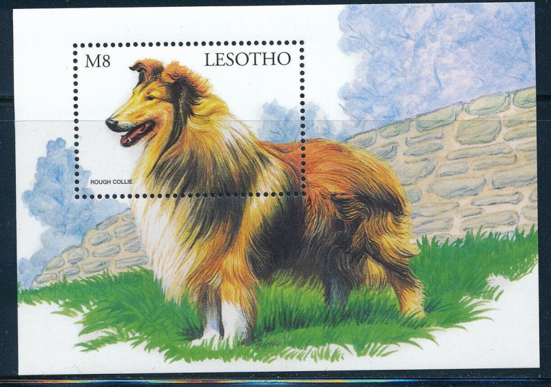 Lesotho - Colorful Dog Sheet MNH Rough Collie (1999)