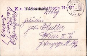 Austria Soldier's Free Mail 1916 Haupfeldpostamt 195 / IIFeldpostcard to Wien...