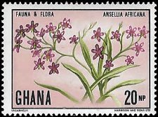 GHANA   #404 MNH (1)