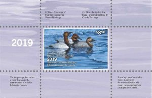 CANADA 2019 DUCK STAMP MINT IN FOLDER AS ISSUED CANVASBACKS by Claude Thivierge