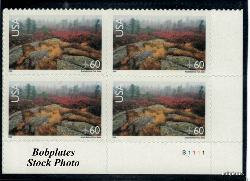 BOBPLATES #C138b Acadia Lower Right Plate Block S11111 VF NH SCV=$6