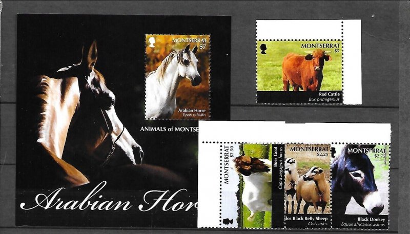 MONTSERRAT Sc 1265-9 NH SET+S/S OF 2011 - DOMESTIC ANIMALS