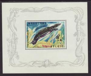 Belgium B783 Turtle Souvenir Sheet MNH VF