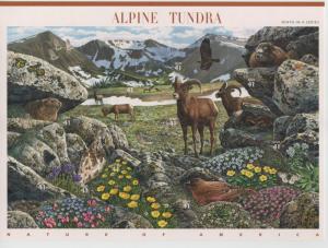 4198 Alpine Tundra