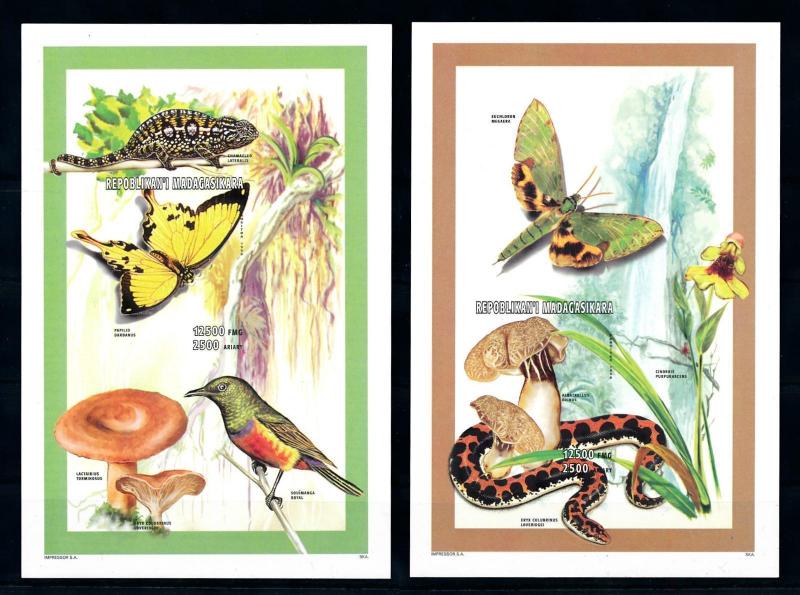 [95926] Madagascar 1998 Butterflies Mushrooms Snake Cameleon Imperf. Sheet MNH