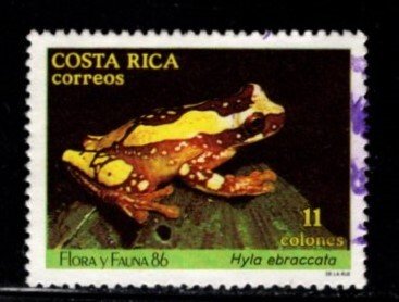 Costa Rica  - #383 Tree Frog - Used