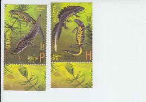 2012 Belarus Newts (2) (Scott 829-30) MNH