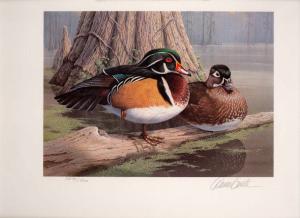 GEORGIA #1 1985 STATE DUCK STAMP PRINT WOOD DUCKS By Daniel Smith