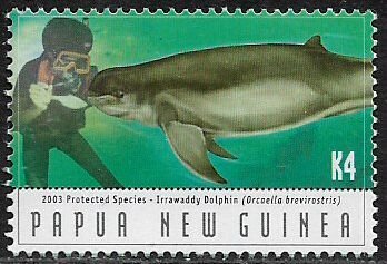 Papua New Guinea #1097 MNH Stamp - Irrawaddy Dolphin and Diver
