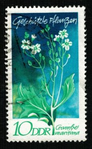 Flowers, DDR, 10 Pfg. (T-7855)