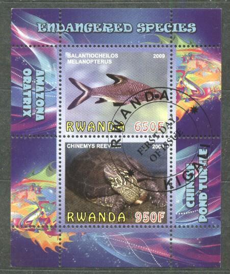 Rwanda 2009 Fishes, perf.sheetlet, used    T.027
