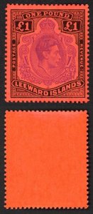 Leeward Is SG114c One Pound Perf 13 Violet and Black/Scarlet U/M Cat 30 pounds