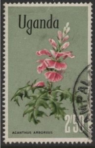 Uganda 126 (postally used) 2.50sh Acanthus arboreus (1969)