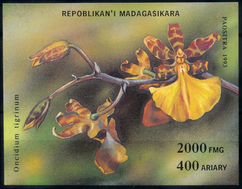 [67309] Madagascar 1993 Flora Flowers Blumen Orchids Souvenir Sheet MNH