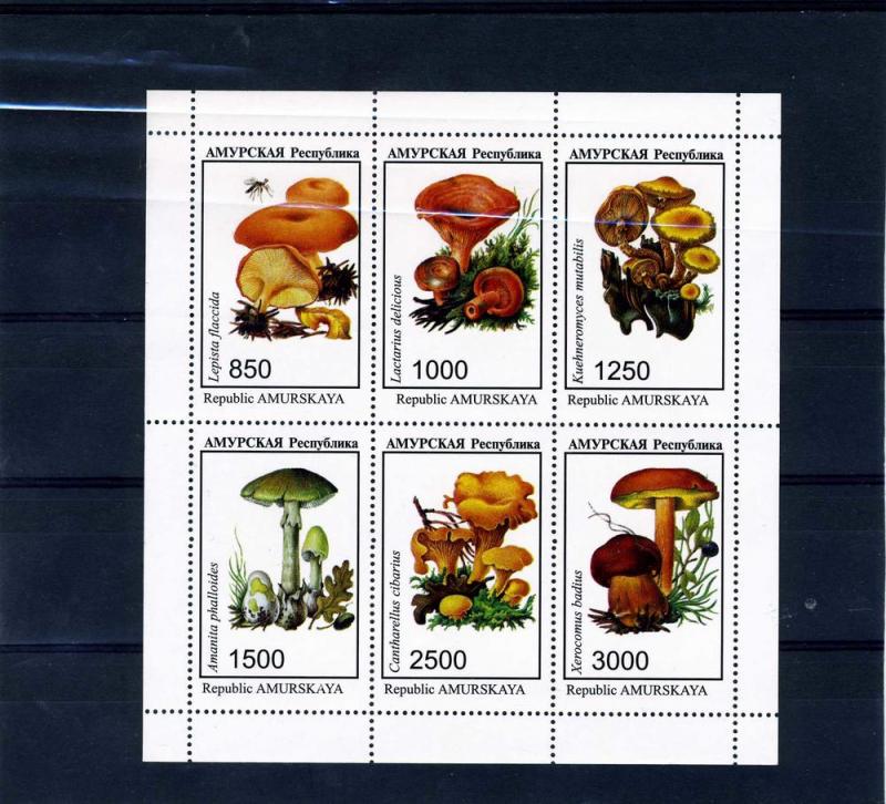 Amurskaya 1997 (Russia Local stamp Issues) Mushrooms Sheet (6) Perforated mnh.