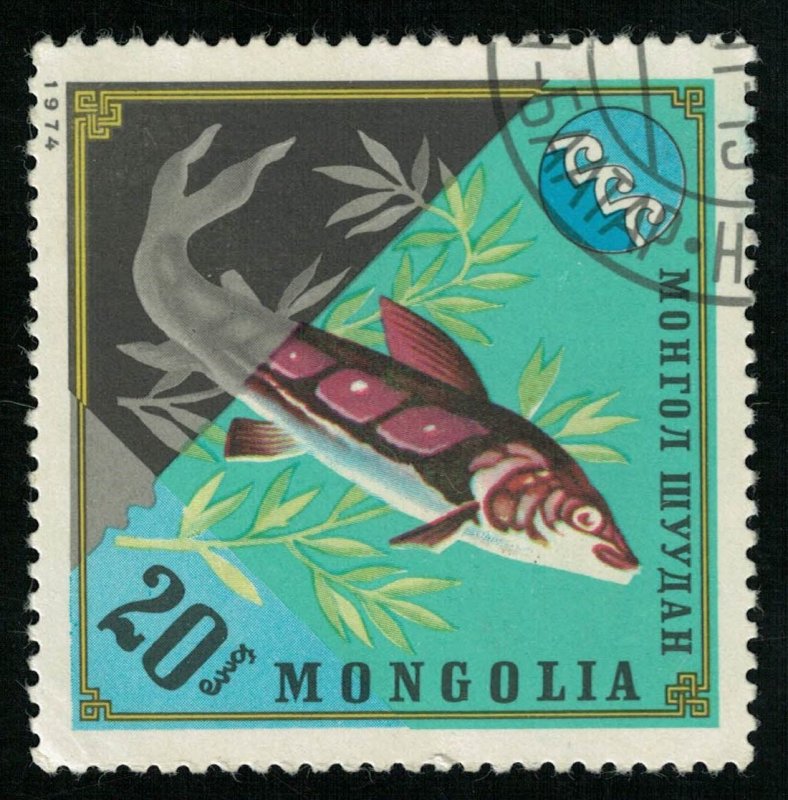 Mongolia, Fish, 20₮, 1974 (T-7075)