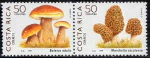 Costa Rica 1999 Sc#522  MUSHROOMS Pair MNH