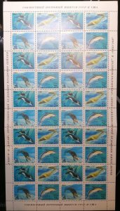 A1189 1990 Ussr Fauna Marine Life Dolphins Killer Whales Mammals Full Sh Mnh