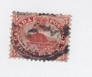 CANADA # 12 -3cts BEAVER NICE FOR DATE OF ISSUE