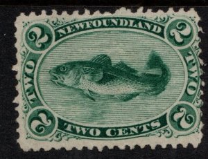 NEWFOUNDLAND SG25 1865 2c YELLOWISH-GREEN UNUSED