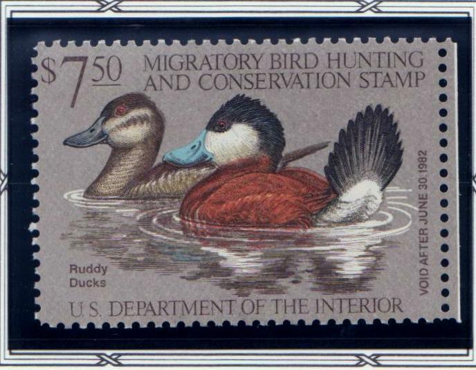 RW48 MNH OG Duck Stamp 1981-82 Ruddy Ducks (J Wilson)