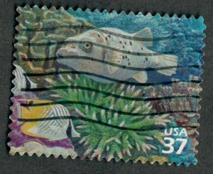 3831d Pacific Reef used single