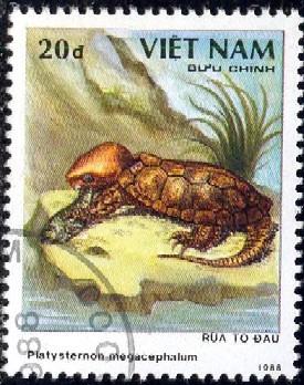 Big-headed Turtle, Vietnam stamp SC#1967 used