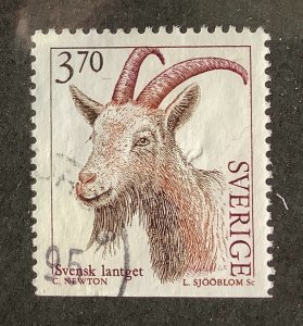 Sweden 1995 Scott 2050 used - 3.70kr,  Domestic Animals, Allmogeget Goat