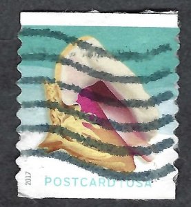 United States #5169 Post Card (34¢) Queen Conch (2017).  On paper. Used.