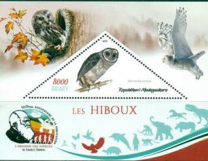 OWLS BIRDS FAUNA CHARLES DARWIN MADAGASCAR 2019 MNH STAMP SET 4 SHEETS