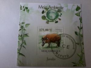 MOZAMBIQUE SHEET USED WILD PIGS WILDLIFE ENVIRONMENT
