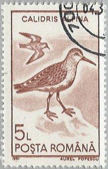 Romania 3646 (used cto) 5l dunlin