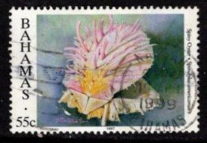 Bahamas - #858 Spiny Oyster - Used