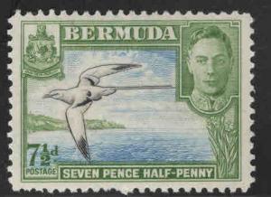 BERMUDA Scott 121D MH* 1941 Bird stamp