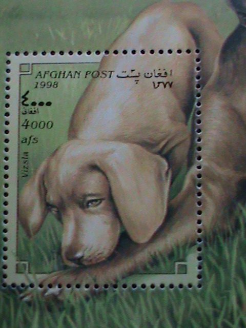 AFGHANISTAN 1998  WORLD FAMOUS LOVELY VIZDSIA DOGS MNH S/S VERY FINE