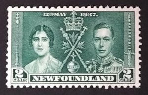 Newfoundland 230 VF MNH