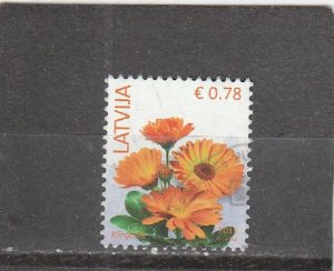 Latvia  Scott#  853  Used  (2014 Cornflowers)