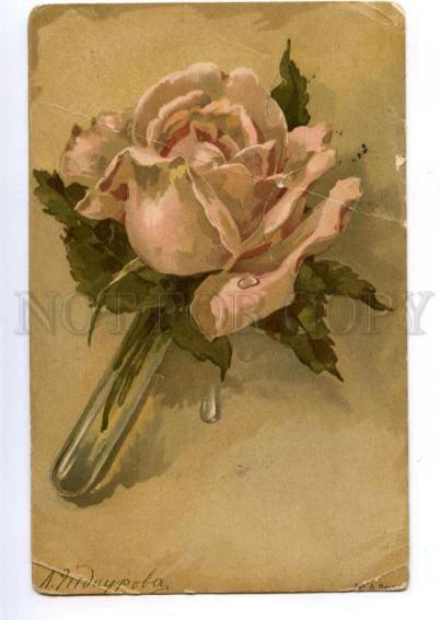 171279 Rose by ENDAUROVA old RED CROSS 1906 STEPAN Ukraine