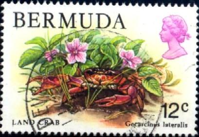 Marine Life, Land Crab, Bermuda stamp SC#369 used