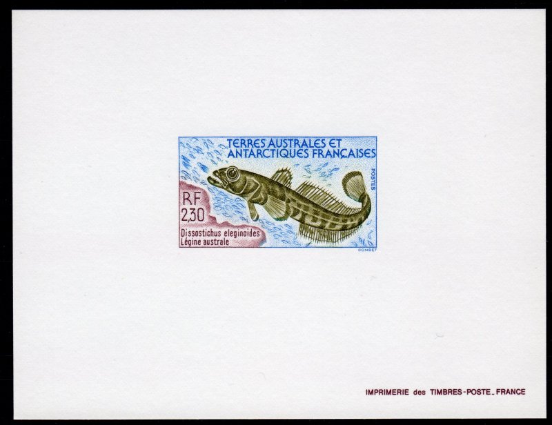 FSAT/TAAF 1992 Sc#168 LEGINE AUSTRALE  Deluxe S/S Imperforated MNH