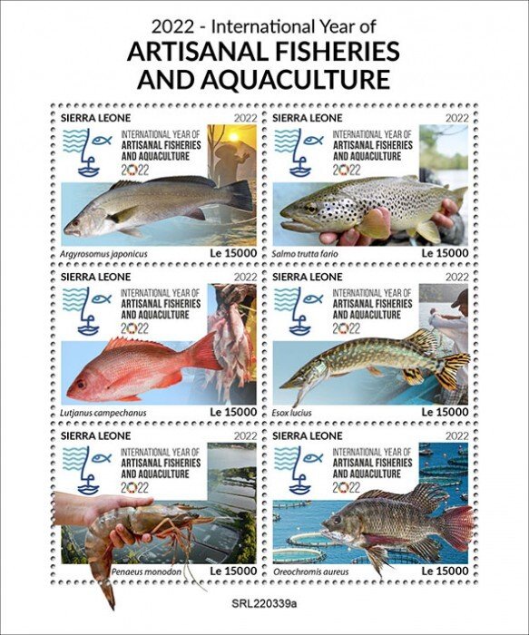 SIERRA LEONE - 2022 - Int. Year of Fisheries - Perf 6v Sheet - Mint Never Hinged