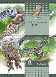 SOLOMON IS. - 2016 - The World of Owls - Perf Souv Sheet - Mint Never Hinged