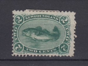 Newfoundland QV 1865 2c Atlantic Cod SG31 MH BP8993