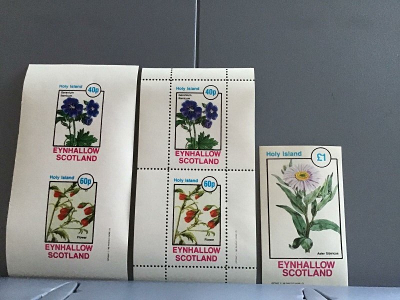 Scotland  Eynhallow  Flowers plants Aster Sibiricus  MNH stamps  R24129 