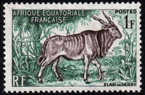 French Equatorial Africa - Scott 195 - Mint-No-Gum